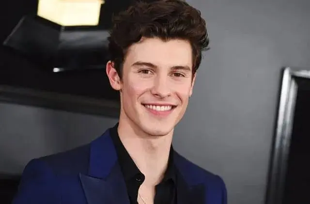 Lirik Lagu Imagination - Shawn Mendes