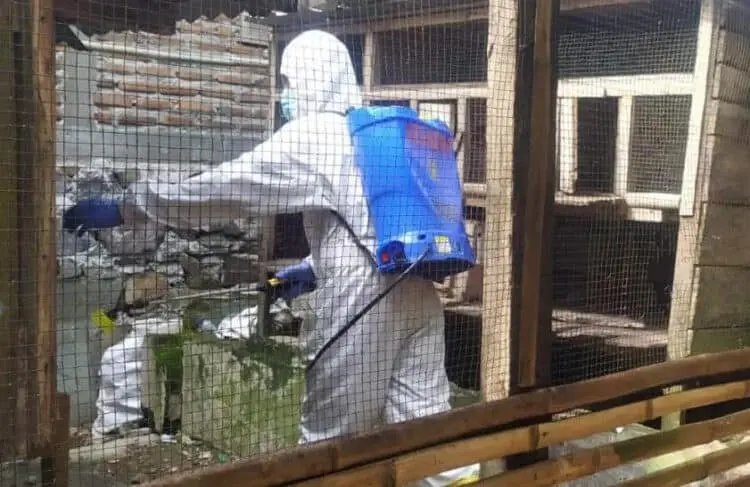 Satbrimob Polda Banten Sweeping Kandang Ternak dan Laksanakan Penyemprotan Disinfektan