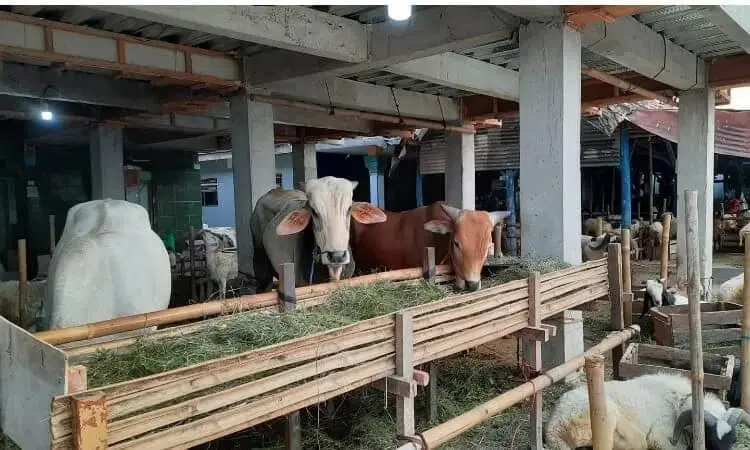 Masuk ke Lebak, Hewan dari Luar Daerah Wajib Disertai Dokumen Kesehatan