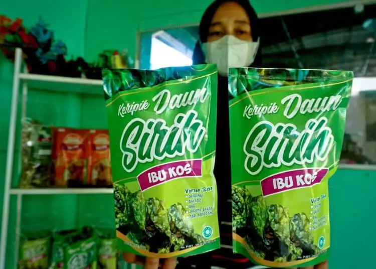 Foto Usaha Olahan Keripik Daun Sirih di Neglasari