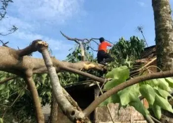 Rusak 93 Rumah dan Sekolah, Kerugian Dampak Puting Beliung Lebak Capai Rp 800 Juta