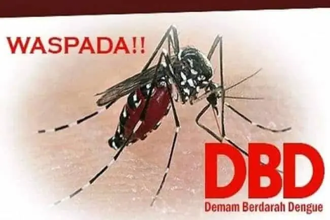 Miris! 6 Orang Warga Kabupaten Serang Meninggal Dunia Akibat DBD