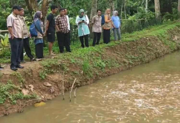 Rp 800 Juta Lebih, Hanya Untuk Budidaya Ikan Nila dan Lele di Pandeglang