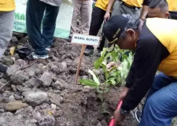 Wabup Serang, Pandji Tirtayasa, menanam pohon di Desa Sasahan, Kecamatan Waringinkurung, Kabupaten Serang, Rabu (15/6/2022). (ISTIMEWA)