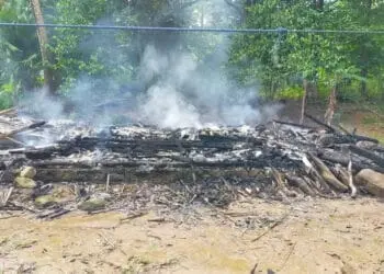Rumah warga Kampung Cipining, Desa Tunggal Jaya,  Kecamatan Sumur, Kabupaten Pandeglang, rata dengan tanah akibat kebakaran, Senin (27/6/2022). (ISTIMEWA)