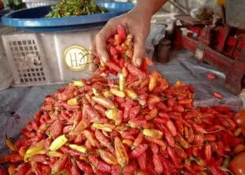 Harga Cabai dan Daging di Ciputat Melonjak