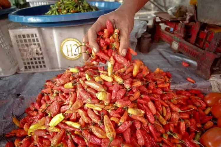 Harga Cabai dan Daging di Ciputat Melonjak