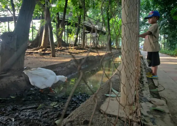 Foto Wisata Saat Libur Sekolah di Taman Hutan Kota