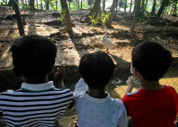 Foto Wisata Saat Libur Sekolah di Taman Hutan Kota