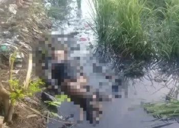 Sesosok Mayat Pria Ditemukan Tergeletak di Pinggir Sawah di Neglasari