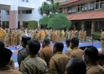 Penghapusan Pegawai Non ASN, Pemda Serba Salah, Honorer Galau