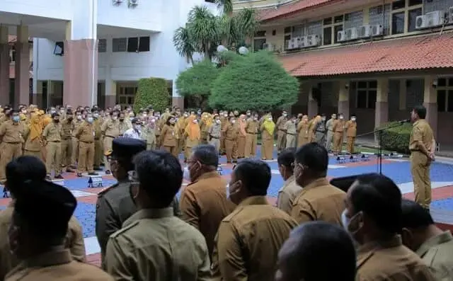 Penghapusan Pegawai Non ASN, Pemda Serba Salah, Honorer Galau
