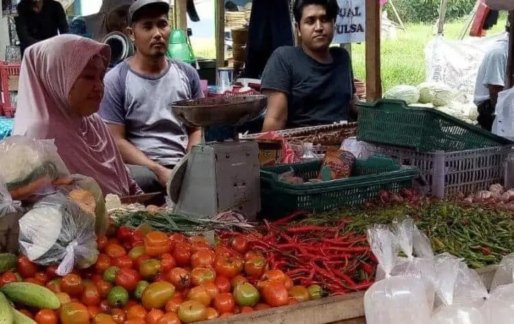 Distan Kabupaten Serang Sebut Kebutuhan Cabai Capai 300 Ton per Tahun