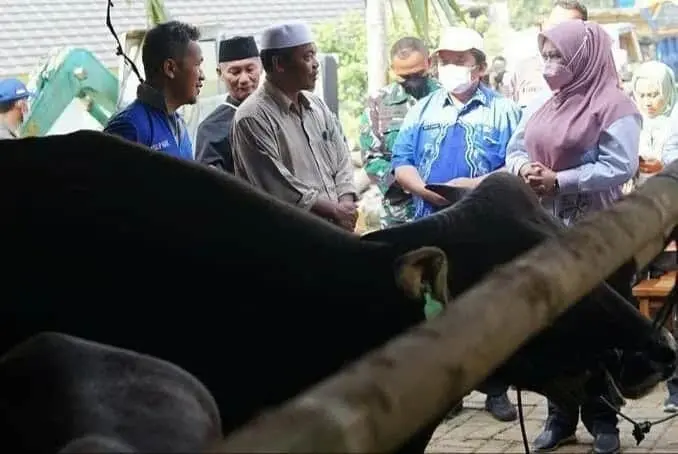 Pemkab Pandeglang Segera Bentuk Satgas PMK, Bupati Irna: Penangananya Libatkan Seluruh Unsur