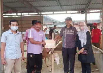 Rayakan Idul Adha, Citiplaza Kutabumi Salurkan Hewan Kurban