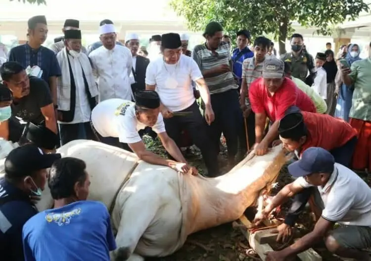 PJ Gubernur Banten Al Muktabar, menyembelih hewan qurban di Masjid Raya Al-Bantani, KP3B, Curug, Kota Serang, Minggu (10/7/2022). (ISTIMEWA)