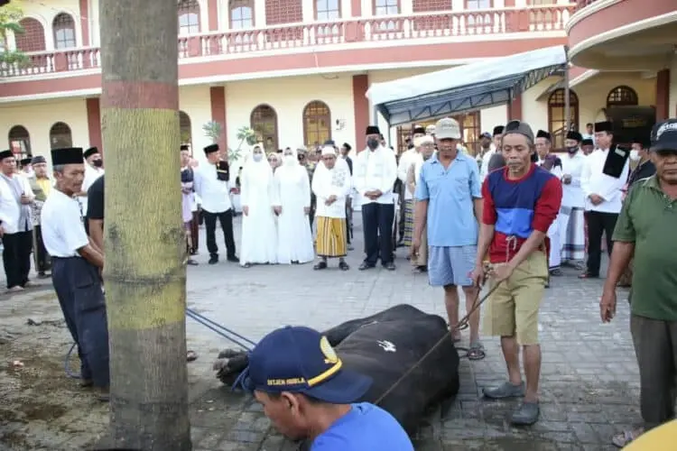 Bupati Tatu Salat Ied di Alun - Alun Kramatwatu, 53 Hewan Kurban Dibagikan