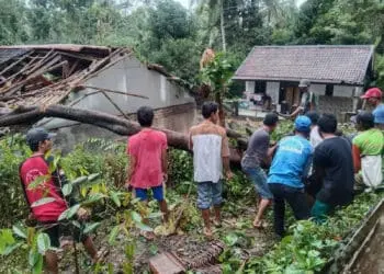 Warga dan sejumlah relawan Taruna Siaga Bencana (Tagana), mengevakuasi pohon tumbang yang menimpa rumah, Jumat (15/7/2022). (ISTIMEWA)