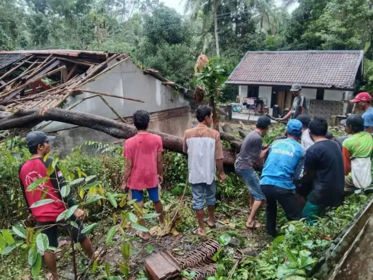 1 Rumah di Pandeglang Rusak Tertimpa Pohon Tumbang, Seorang Ibu dan Bayinya Berhasil Selamatkan Diri