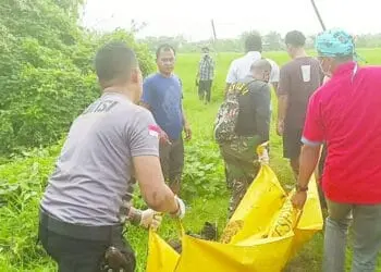 Wanita Tanpa Identitas Ditemukan Tewas di Sungai Cimanceuri