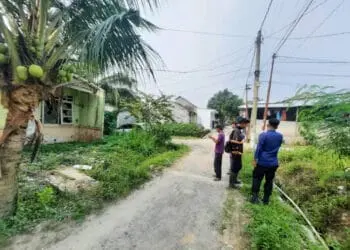 Kera Liar Meresahkan Warga Argo Subur Solear