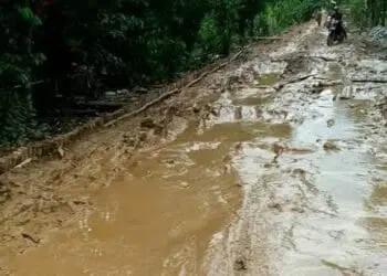Desa Curug di Pandeglang Berstatus Desa Tertinggal, Ini Penyebabnya