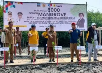 Ribuan Bibit Mangrove Ditanam di Pesisir Lontar Kabupaten Serang, Ini Tujuannya