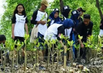 Ini Kisah KTH Rawa Burung Berjibaku Lestarikan Hutan Mangrove