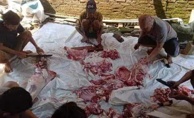 Idul Adha, KAMMI Kota Tangerang Gelar Cek Kesehatan Gratis dan Salurkan Hewan Kurban Idul Adha, KAMMI Kota Tangerang Gelar Cek Kesehatan Gratis dan Salurkan Hewan Kurban