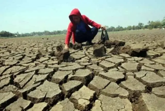 Musim Pancaroba, Masyarakat Lebak Diimbau Waspadai Penyakit hingga Kekeringan
