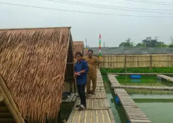 Lahan Bengkok yang Tergenang Air di Julang Kab. Serang Akan Dimanfaatkan Budidaya Nila