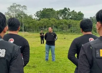Kejar Tersangka hingga ke Aceh, Satresnarkoba Polres Serang Ladang Ganja