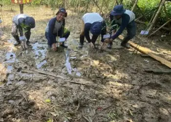 Penanaman Mangrove di Kecamatan Anyer, Kabupaten Serang, Rabu (31/8/2022). (ISTIMEWA)
