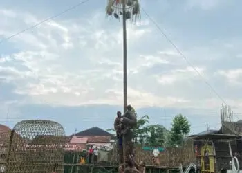 Para peserta sedang berjuang merebut hadiah panjat pinang, di area pesawahan Saung Karuhun, Minggu (21/8/2022). (NIPAL SUTIANA/SATELITNEWS.ID)