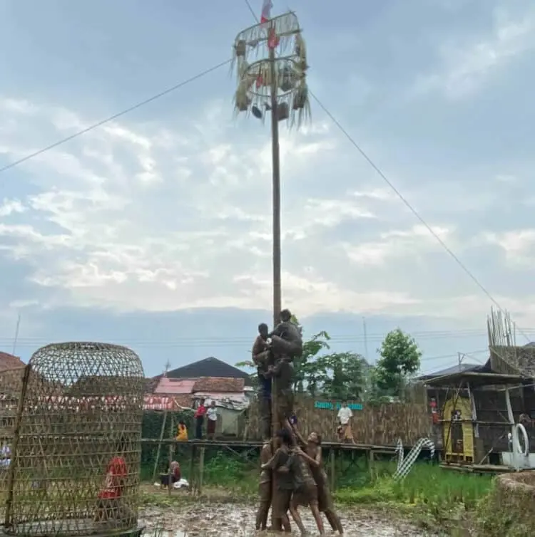 Para peserta sedang berjuang merebut hadiah panjat pinang, di area pesawahan Saung Karuhun, Minggu (21/8/2022). (NIPAL SUTIANA/SATELITNEWS.ID)