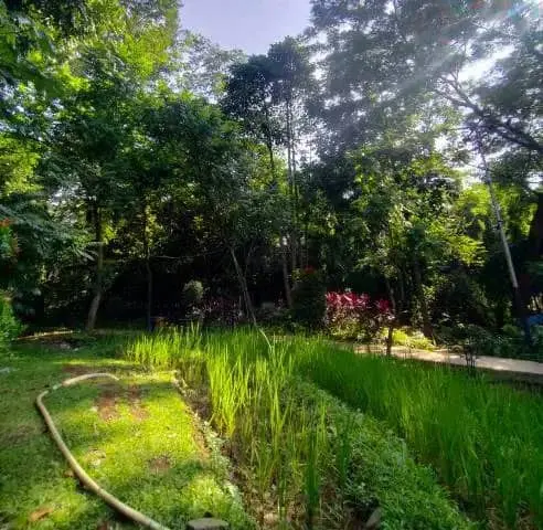 Masyarakat Apresiasi Eksistensi Taman di Kota Tangerang Masyarakat Apresiasi Eksistensi Taman di Kota Tangerang