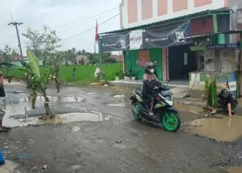 Jalan Rusak Ditanami Pisang, Bupati Lebak Pilih Prioritaskan Gaji CPNS dan PPPK