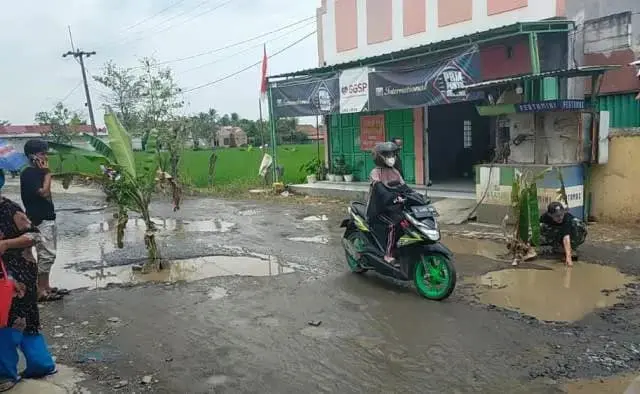 Jalan Rusak Ditanami Pisang, Bupati Lebak Pilih Prioritaskan Gaji CPNS dan PPPK