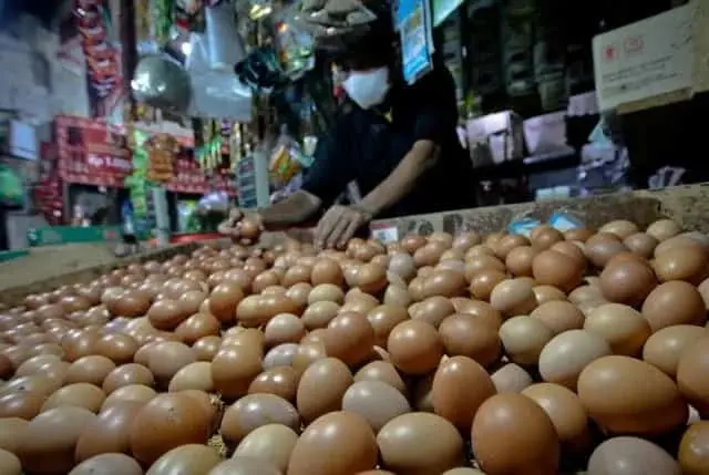 Harga Telur Ayam di Kota Tangerang Naik, Pedagang Nasi Pusing
