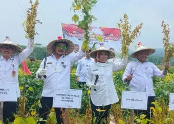 Mentan RI Sebut Kualitas Kacang Kedelai Cinangka Kabupaten Serang Sama dengan Brazil