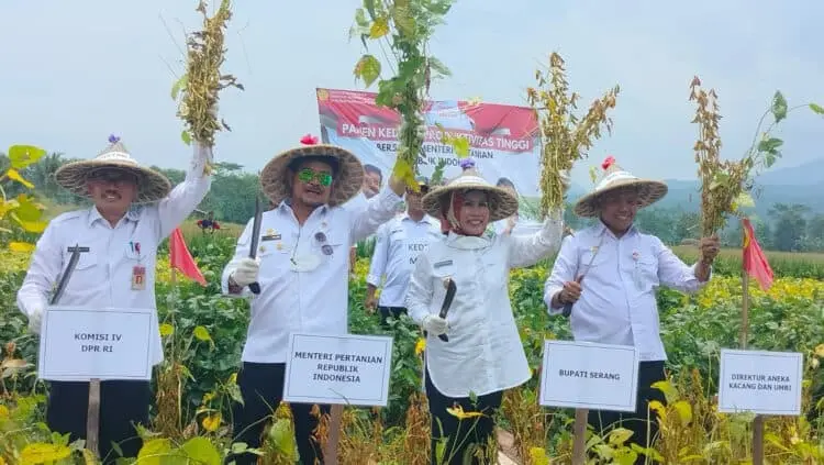 Mentan RI Sebut Kualitas Kacang Kedelai Cinangka Kabupaten Serang Sama dengan Brazil