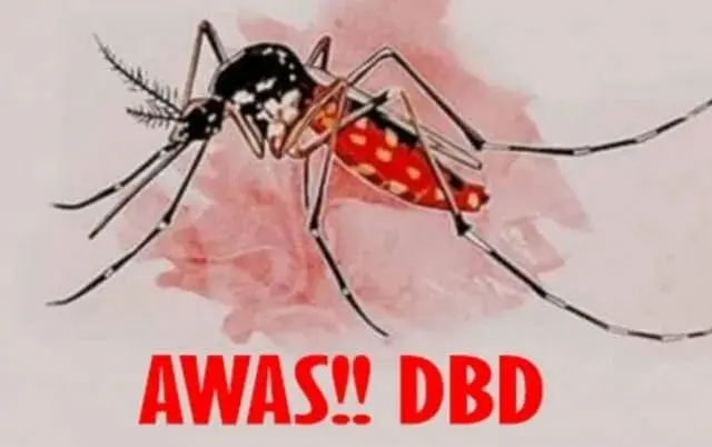 Hingga September 2022, Dinkes Tangsel Catat 577 Kasus DBD