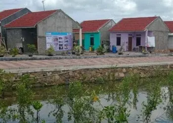 Warga Bahagia Tidak Kebanjiran Lagi saat Air Laut Pasang