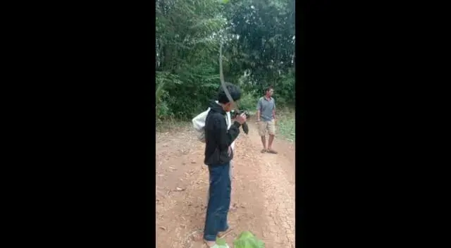 Sok Jago, Siswa di Lebak Bawa Celurit dan Gergaji, Pas Tertangkap Polisi Mirip Ayam Sayur
