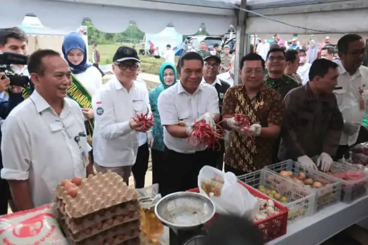 Banten Urutan ke-8 Produsen Beras Nasional