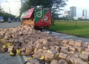 Truk Membawa Ratusan Karton Minyak Goreng "Tumpahkan" Muatan di Pinang, Polisi Langsung Lakukan Pengamanan
