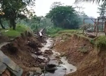 Kondisi tebing irigasi sekunder Bendungan Cibaliung setinggi 4 meter, yang tergerus longsor, semakin meluas. (ISTIMEWA)