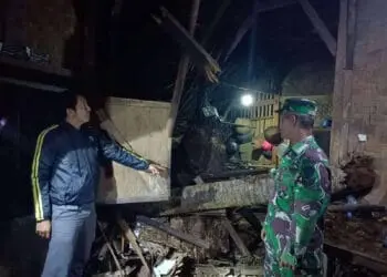 Tertimpa Pohon Tumbang, Rumah Warga Pulosari Pandeglang Rusak Berat