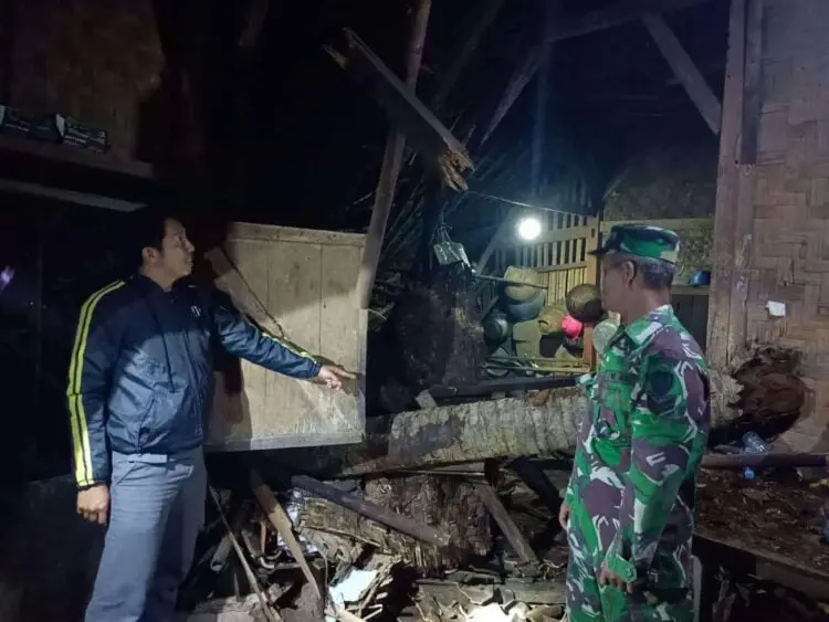 Tertimpa Pohon Tumbang, Rumah Warga Pulosari Pandeglang Rusak Berat