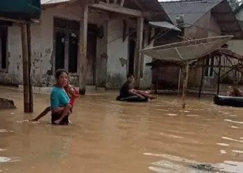 Banjir di wilayah Desa Idaman, Kecamatan Patia, Kabupaten Pandeglang, Senin (26/12/2022). (ISTIMEWA)